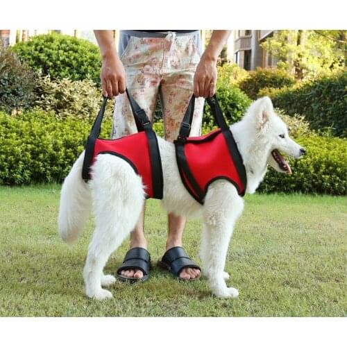 Pet Dog Harness Walk Out Hand Strap Vest Dog Lift Support Lifting Band Pets Assist Travel Kit Dogs Collar Leash Dog Harness