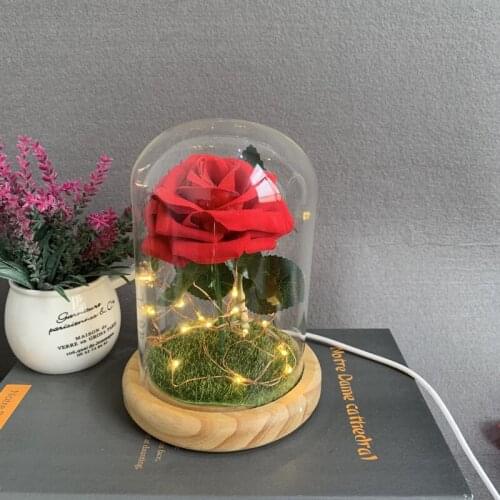LED Flower Lights Rose Beauty The Beast In Glass Cover Christmas Home Decor for Mother Valentines Day New Year Gift