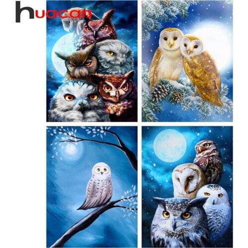 Huacan 5D Diamond Painting Owl Full Square Diamond Mosaic Embroidery Animal Picture Of Rhinestones Winter Home Decor Kit