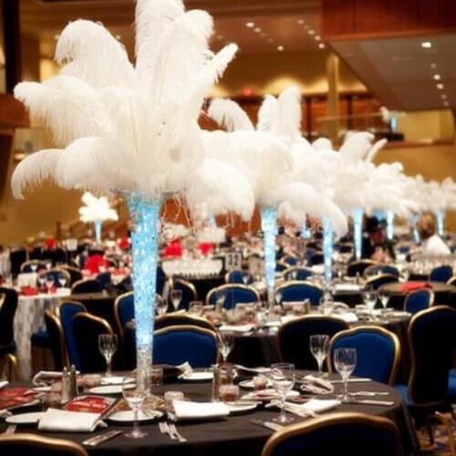 Free Shipping 60-65 cm / 22-24 inch 10 Colors Ostrich Feather Plumage Dresses Wedding Party Decoration Centerpieces