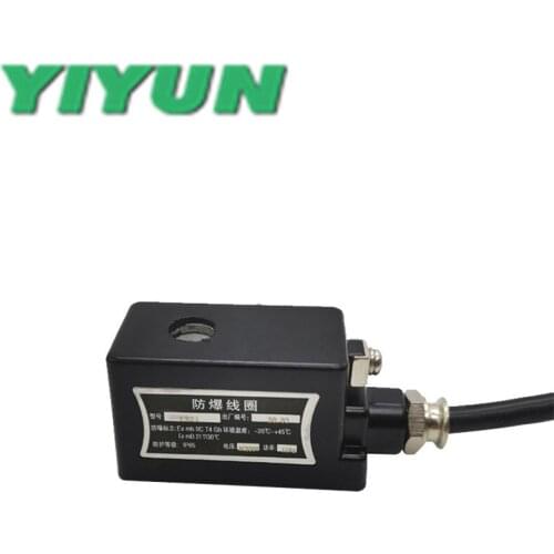 EX0920-9,0921-9,1320-13,1321-13,1620-16,1621-16,2020-20,2021-20 YIYUN Explosion-proof coil solenoid valve AC220V DC24V EX Series
