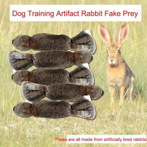JANPET Clickers For Training