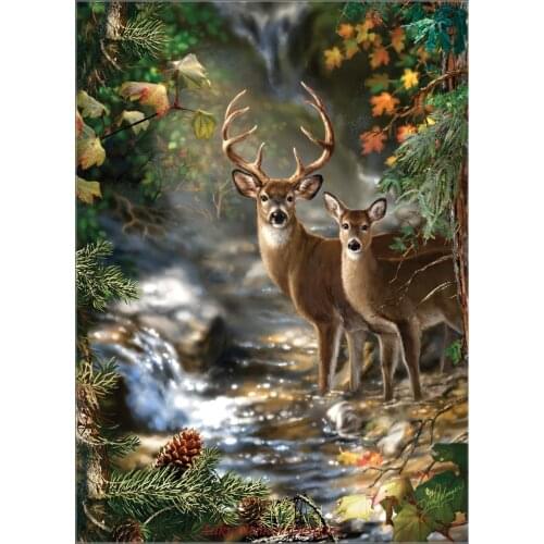 Embroidery Counted Cross Stitch Kits Needlework - Crafts 14 ct DMC Color DIY Arts Handmade Decor - Deer Creek