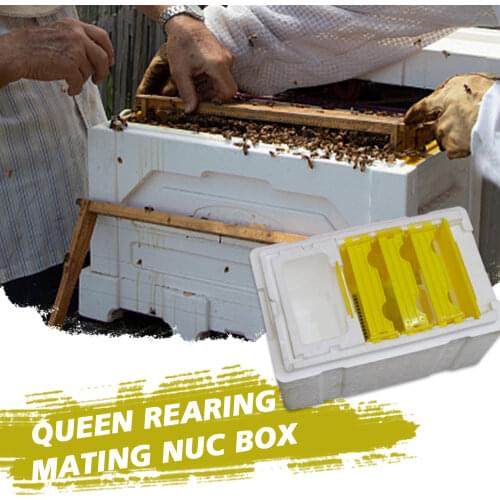 Queen Bee Rearing Mating Beehive Nuc Harvest Pollination Bees Hive Box Reserve Beekeeping Tools For Beekeeper Supplies