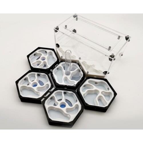 3D Ant Nest Ant Space Station New Back Nest Black Ant Castle with Water Tower Ant Farm Gift