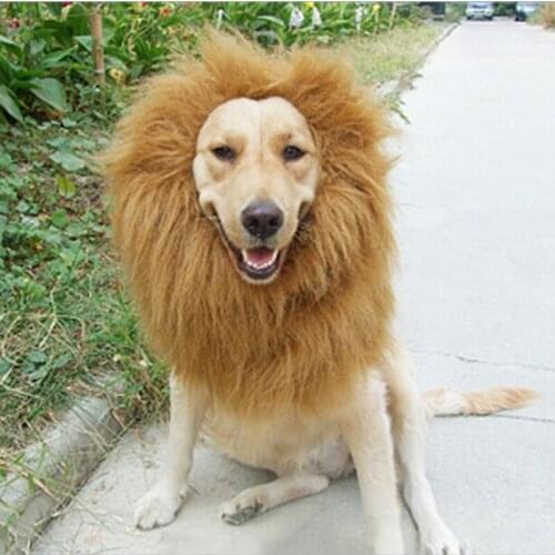 Cute Pet Cosplay Clothes Transfiguration Costume Lion Mane Winter Warm Wig Cat large Dog Party Decoration With Ear Pet Apparel