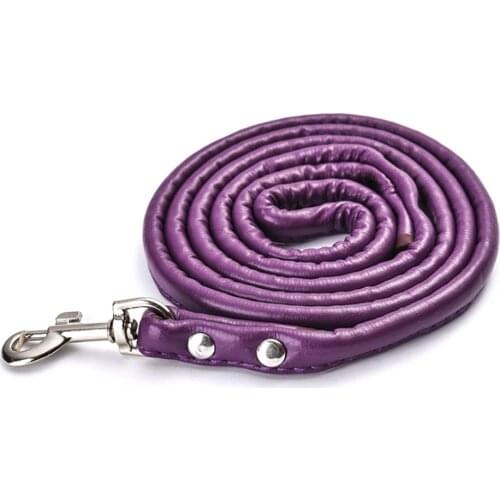 New Pet Dog Traction Rope Leashes Fashion Multicolor PU Round Rope For Small and Medium Dogs Chain Pet Supplies