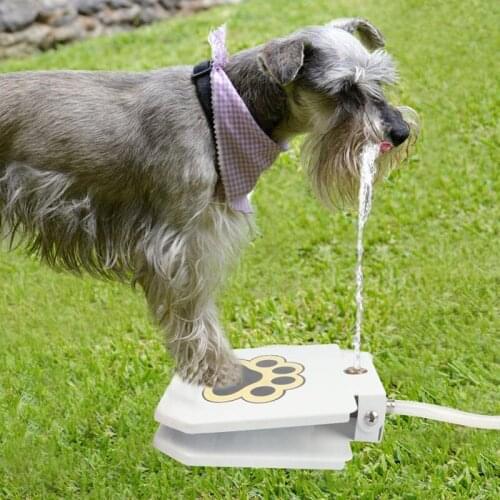 Pet Water Fountain Dog Stainless Steel Syringe Pump Outdoor Cats and Dogs Smart Automatic Drinking Fountains Drinker for Dogs
