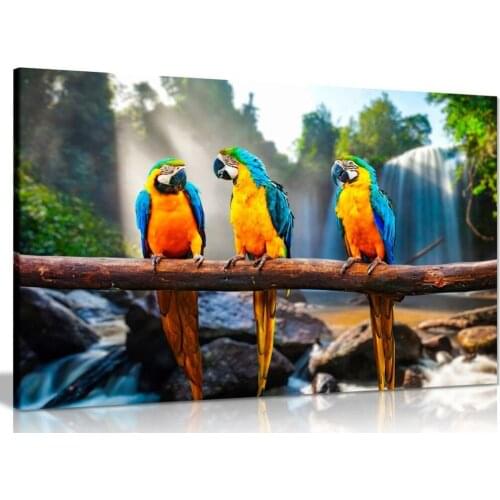 Modern Colourful Parrots Macaws Canvas Wall Art Picture Print On Canvas Oil Painting For Home Decor Drop shipping