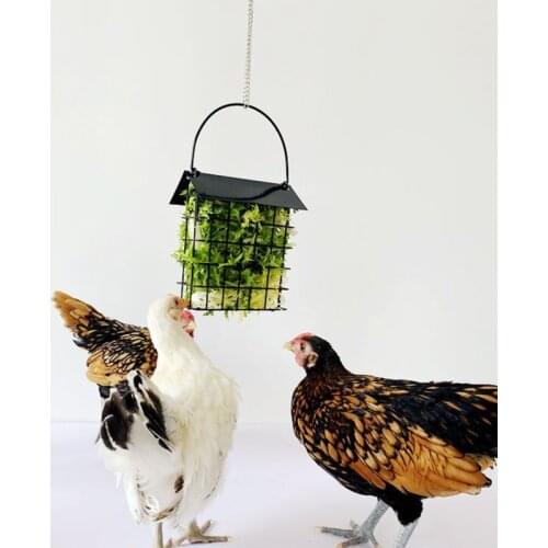 Chicken Feeder Basket Chicks Bird Feeding Foraging Toy Metal Hanging Birdfeeders H58C