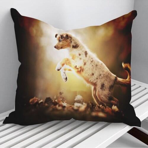 Australian Shepherd puppy Throw Pillows Cushion Cover On Sofa Home Decor 45*45cm 40*40cm Gift Pillowcase Cojines Dropshipping