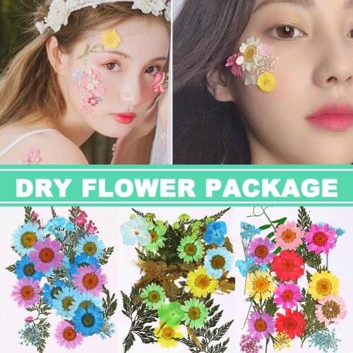 Pressed Flower Mixed Dried Flowers DIY Art Floral Decors Collection Gift Craft DIY GQ