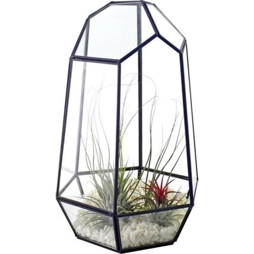 Closed Irregular Glass Terrarium with Door Succulent Planter Geometric Flower Plant Pot Tabletop Small Bonsai Reptile Container