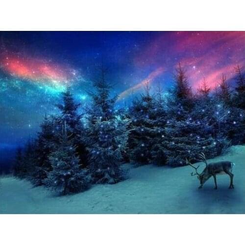 5D Diy Diamond Painting Northern Lights Cross Stitch Kits Diamond Embroidery Mosaic Christmas Gifts Home Decoration