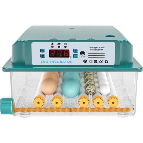 Household 16 Egg Incubator Fully Automatic Turning Temperature Control for Eggs Poultry Hatcher Machine EU Plug