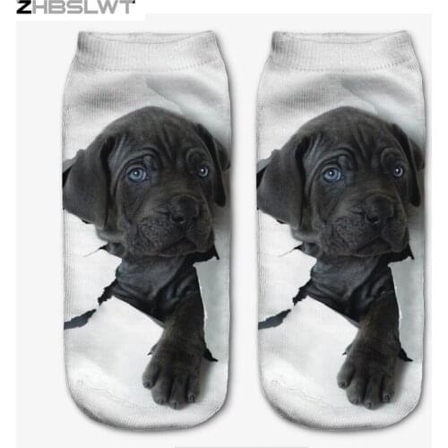 ZHBSLWT New 3D Printed Labrador Puppy Women Socks Cute Low Cut Ankle Sock Multiple Colors Fashion Style-13
