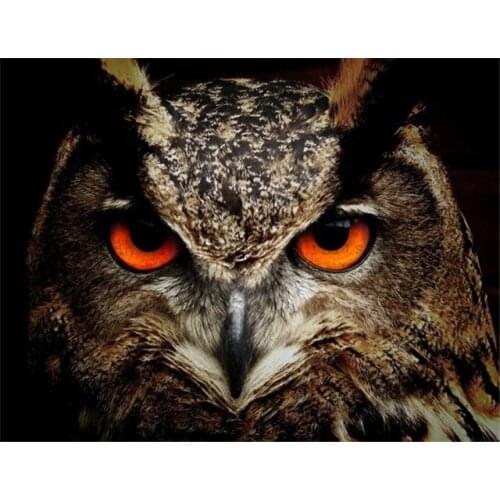 5D DIY Full Drill Square Round Diamond Painting Cross Stitch Diamond Embroidery Owl Eyes Diamond Pictures Needlework Home Decor