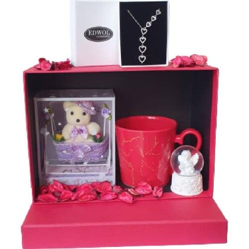 Edwol Zircon Cubic Zirconia Heart Necklace Gift Set