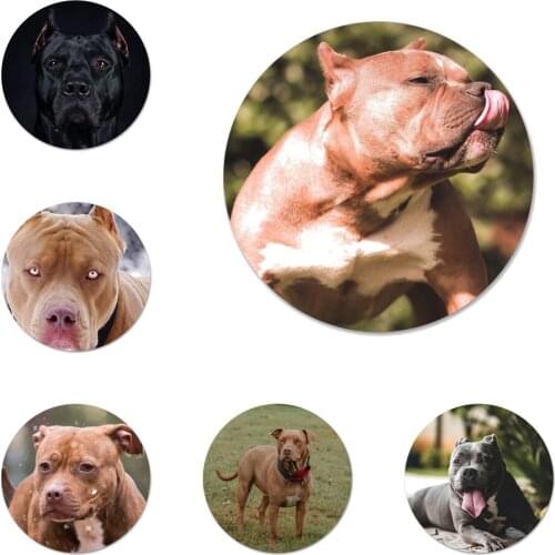 58mm Pit Bull Lovely Pet Dog Pitbull Badge Brooch Pin Accessories For Clothes Backpack Decoration gift