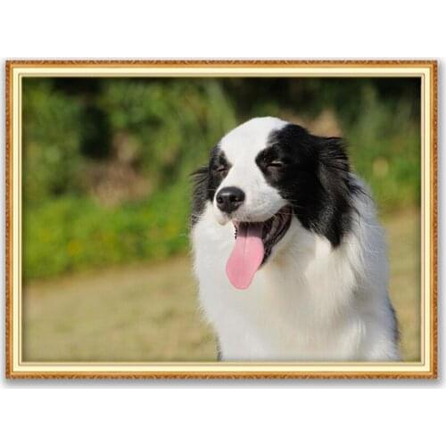 Animal Border Collie DIY Embroidery 11CT Cross Stitch Kits Needlework Craft Set Printed Canvas Cotton Thread Home Decoration