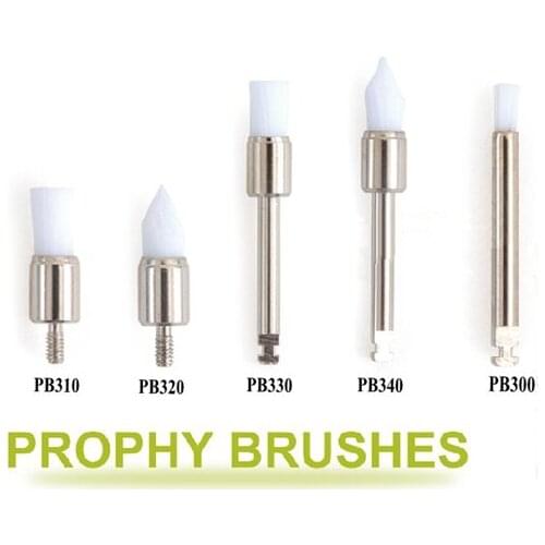 500pcs/ Dental lab Polishing Brushes Disposable dental Nylon prophy brush tapered/Flat brushes