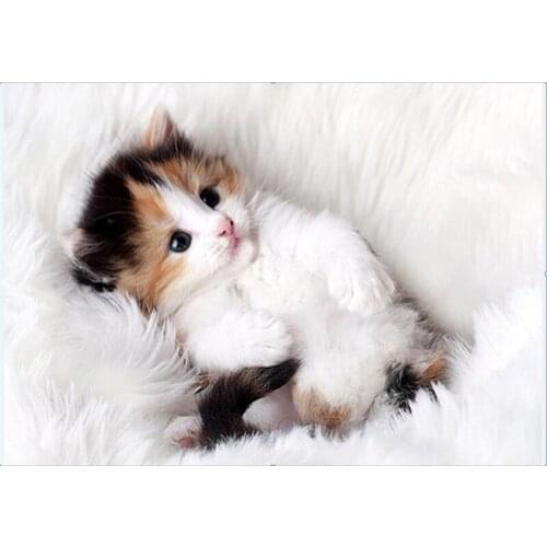 DIY 5D Diamond Mosaic Cartoon Cats Handmade Diamond Painting Cross Stitch Kits Diamond Embroidery Patterns Rhinestones Arts H6