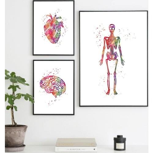 Watercolor Human Anatomy Wall Art Heart and Brain Medical Anatomy Canvas Painting Clinic Wall Picture Decor Black Metal Framed