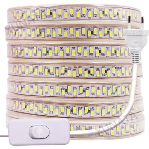 220V LED Strip Light With Switch SMD 5630 2835 5050 High Brightness Led Strip Flexible Ribbon Diode Waterproof luces Led Light