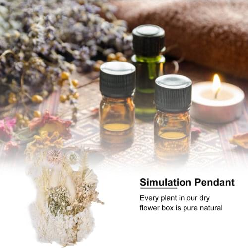 2021 Dried Pressed Flowers Dried Flowers Leaves Bulk DIY Candles Bookmarks Accessories For Necklaces Jewelry Crafts Decorations