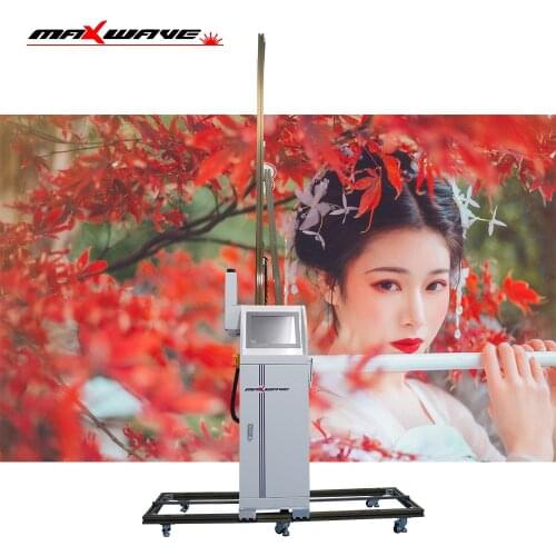 Large 3D Inkjet Direct Mural Painting Zeescape Wall Printer for Wall Printer