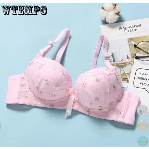 Kawaii Bras Teen Girl Sexy Underwear Push Up Bra Pink Sweat Bralette Schoolgirl White Lace Embroidery Lingerie