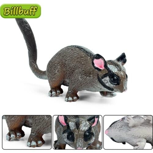 Simulation Wild Animal PVC Glider Squirrel Model Action Figures Collection Miniature Cognition Educational Toy for children Gift