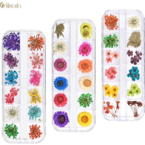 3 Sets Natural Mixed Colors Nail Dried Flowers Nail Art Decoration 3D Beautiful Floral Stickers with Box Personal Manicure Tips