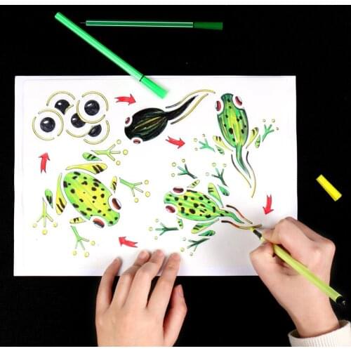 Montessori Drawing board Chicken,Butterfly,Turtle Life Cycle Animal Models Figurine Drawing Stencils For Kids Educational toys