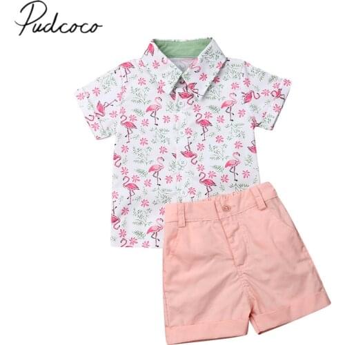 2019 Baby Summer Clothing Toddler Kids Baby Boy Flamingo Shirt Tops+Short Bottoms Formal Party 2PCS Sets Outfit Clothes 1-5Y