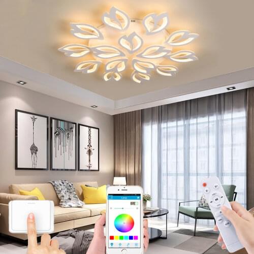 Indoor LED ceiling light Nordic modern smart remote control simple chandelier surface decoration living room bedroom hotel