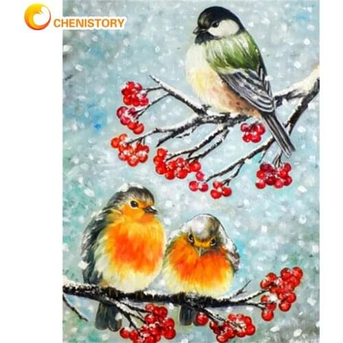 CHENISTORY 60x75cm Frame Picture Painting By Numbers Kits Snow Bird Acrylic Wall Art Home Decors Coloring By Numbers For Diy Gif