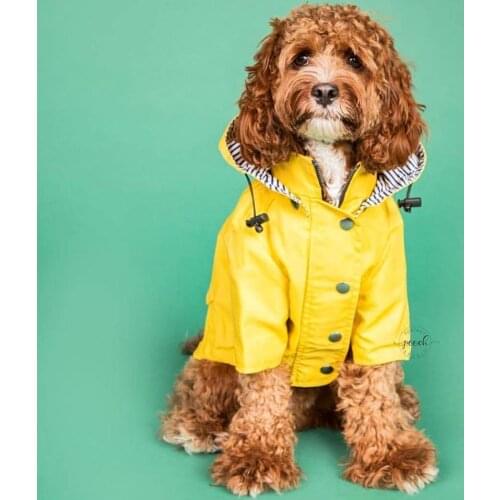 Large dog raincoat dog coat pet clothes yellow dog windcheater big dog rain coat waterproof outdoor jacket