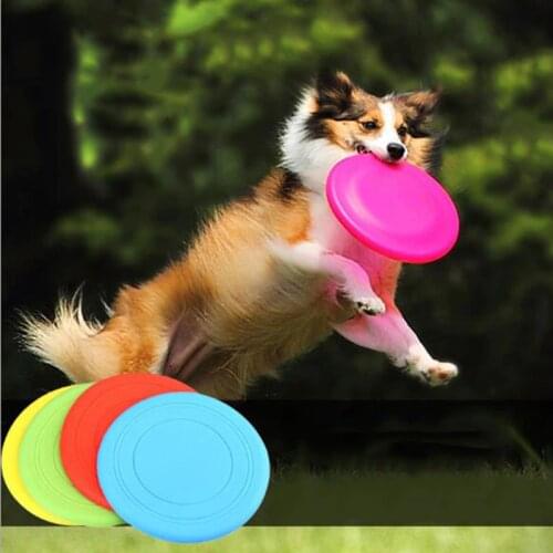 DCPET Trainers For Dogs