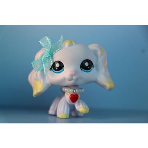 Pet Shop Hat Food Drink Skirt Random 10 Accessories Suit for Short Hair Cat Collie And 1pc Tiramisu Collie & Gray Pot short Cat