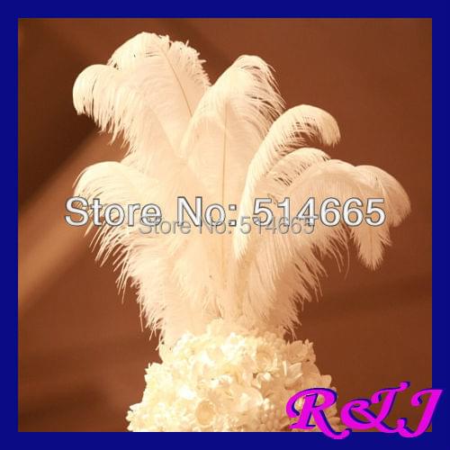 EMS Free shipping Cheap ostrich plume 100pcs/lot white Ostrich plumage ostrich feather 18-20inch 45-50cm