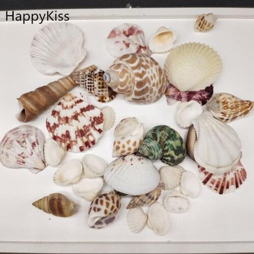 100g/Bag Mediterranean style DIY Fashion Beach Mixed Seashells Mix Sea Shells Natural Crafts for Aquarium Fish Tank Decor