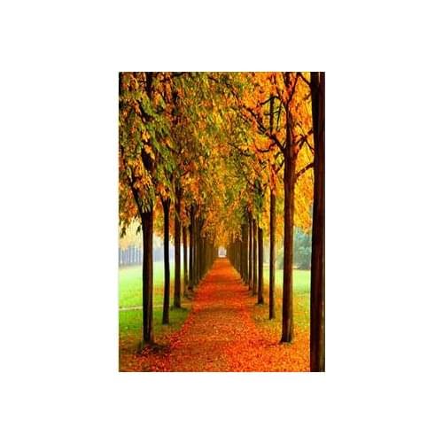 Rabstol net autumn Art print Silk poster Home Wall Decor