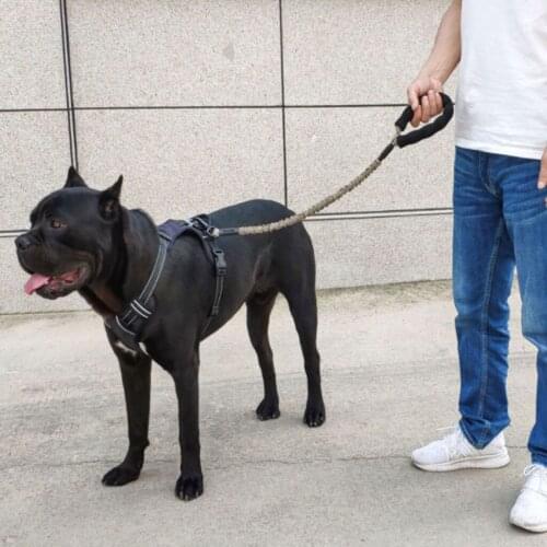 Dog Cat Harness Traction Rope Pet Leash Dog Leash Collar High Elastic Large Telescopic Medium Dog Stretch Traction Chest Strap
