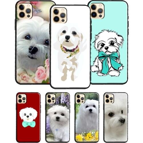 Cartoon Maltese Dog Phone Case For iPhone 11 Pro Max 12 Mini X XR XS Max 6S 7 8 Plus SE 2020 Soft TPU Cover