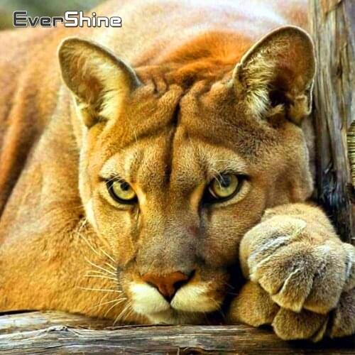 EverShine Diamond Painting Animals Cross Stitch Diamond Embroidery Sale Leopard Rhinestones Art Handwork Gift Home Decor