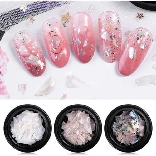 1 Box Nail Art Decorations Jewelry 3D Natural Abalone Shell Fragments Pressed on The Nails Professional Nail Supplies for Salon