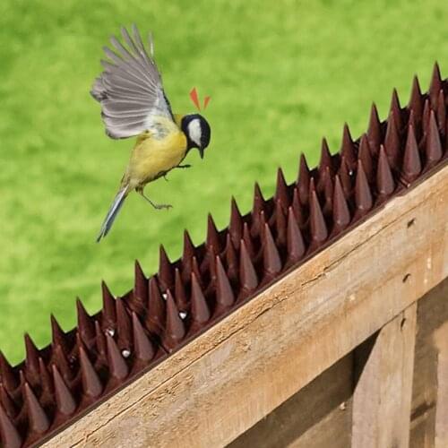12pcs Anti-bird Thorn Pest Control Scare Deterrent Cat Pigeon Owl Repellent Wall Spikes Garden Fence Supplies