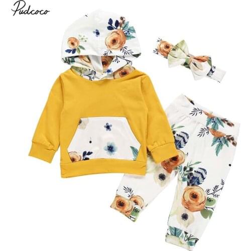 2019 Baby Spring Autumn Clothing 0-24M Infant Baby Girl Boys Clothes Flowers Long Sleeve Hooded Tops+Pants+Headband 3pcs Sets