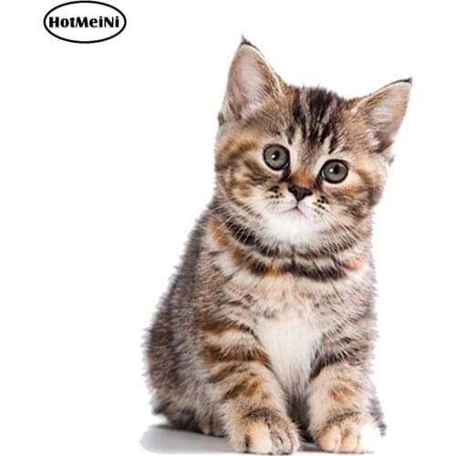 HotMeiNi 13cm x 8.7cm 3D Car Styling Aufkleber Sticker Wand Kochen Kind Zimmer Dekoration Tier Baby Katze Katzchen Car Sticker
